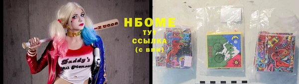 гидра Гусев
