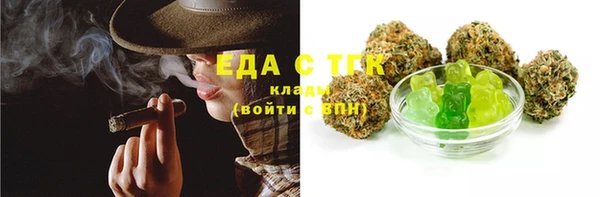 гидра Гусев