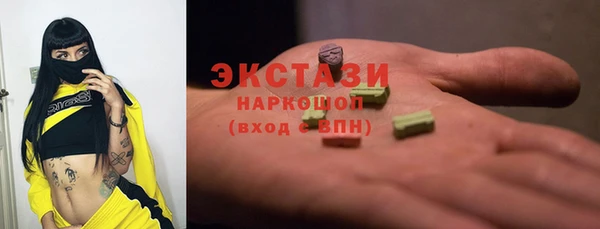 гидра Гусев