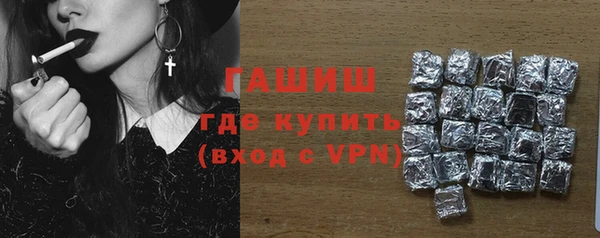 гидра Гусев
