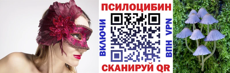 Купить закладки  Калач  Псилоцибиновые грибы GOLDEN TEACHER 